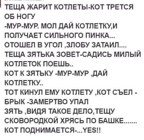 тещд ЖАРИТ котлеты кот трется ов ногу мур мур мол дАЙ котлеткум получдет сильного пинкд отошел в угол злову 3АТАИЛ тещд зятькд зоветлАдись милый котлеток поешь кот к зятьку мур мур дАй котлетки тот кинул ему котлету кот съел _ врык 3АМЕРТВО упдл зять видя ТАКОЕ депотещу сковородкой хрясь по вдшке кот подниметсяхезп