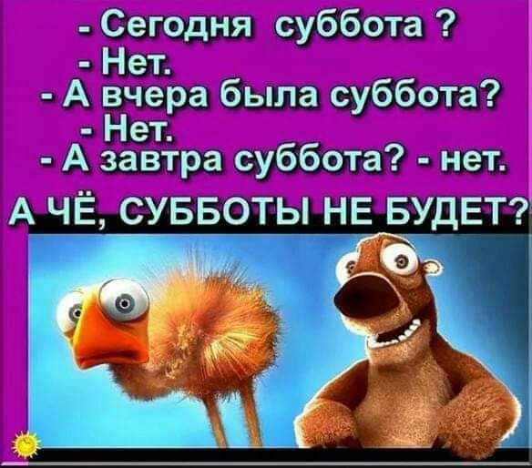 е оёЁхёЁт ацдёшвдоьы А і