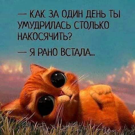 КАК ЗА ОДИН ДЕНЬ ТЫ УМУДРИЛАСЬ СТОЛЬКО НАКОСЯЧИТЬ _ Я РАНО ВСТАЛА _
