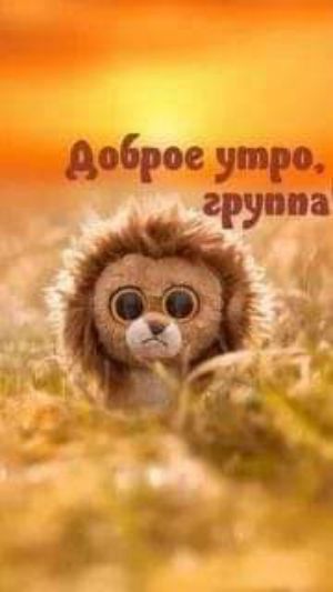 доброе утро