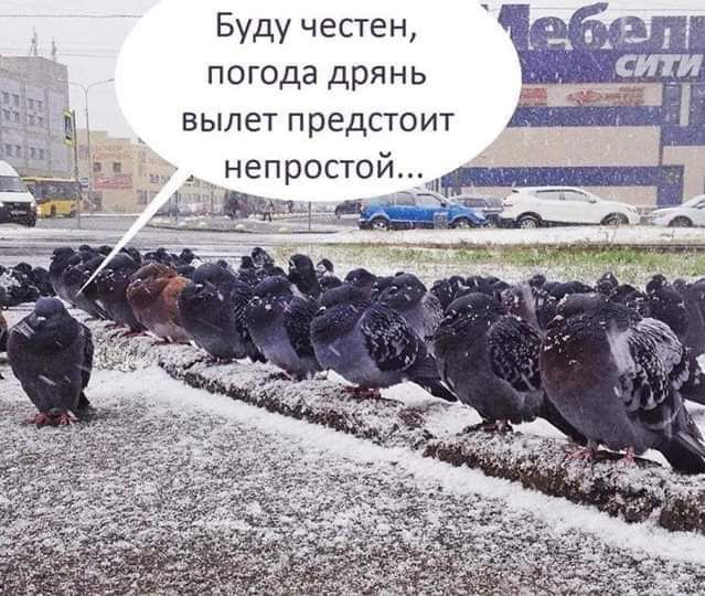 Буду честен погода дрянь вылет предстоит непростой _ _ ы