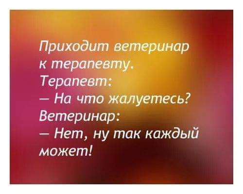 Приходит ветер тар к терапевту Терапевт На что жалуетесь Ветеринар Нет ну так каждый может