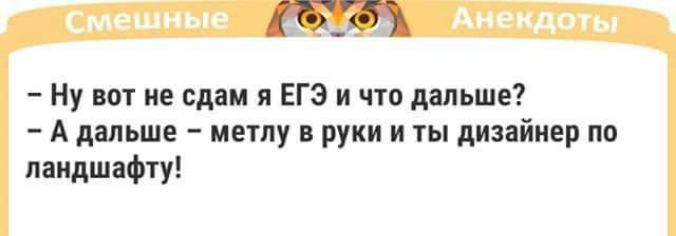 смешные Ане чипы Ну вот не сдам я ЕГЭ и что дальше А дальше метлу руки и ты дизайнер по ландшафту