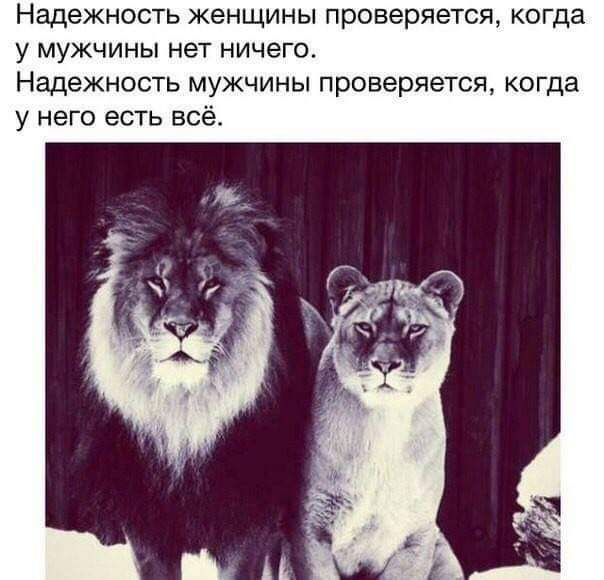 Надежность женщины проверяется когда у МУЖЧИНЫ нет НИЧЕГО НЗДЭЖНОСТЬ МУЖЧИНЫ проверяется КОГДЗ у него есть всё