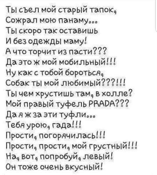 Ты съел мой старый тапок Сожрал мою патаму Ты скоро так оставишь и без одежды маму А что торчит из пасти Да это ж мой мобильный Ну как с тобой боротьт Собак ты мой любимый Ты чем хрустишь там в холле Мой правый туфель РБАВА да я ж за эти туфли Тебя урою гздъ Прости погорячились Прости прости мой грустный На вот попробуй левый Он тожв очень вкусный