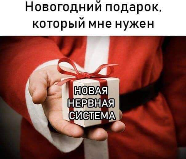 Новогодний подарок который мне нужен НОВА Я НЕРВНАЯ СИСТЕМА