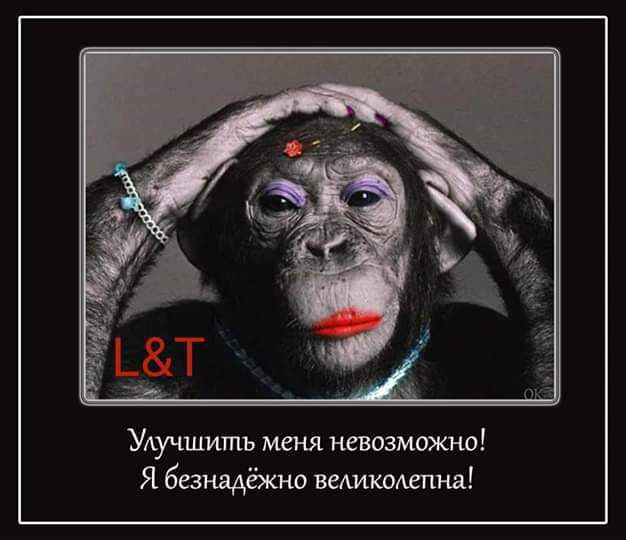 Улучшить меня невозможна Я безнадёкно немкашина