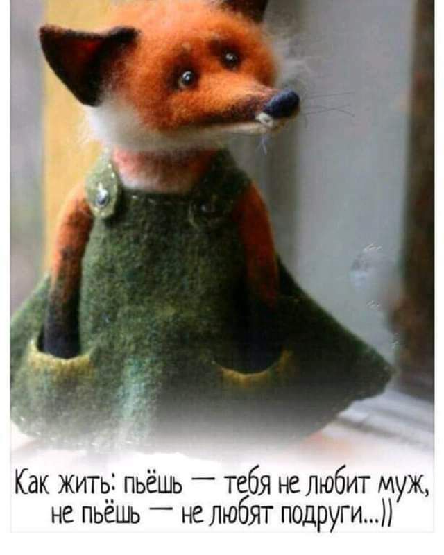 Как жить пьёшь _ тебя не любит муж не пьёць не любят подруги У