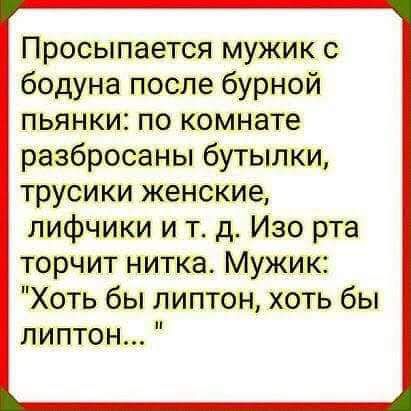 Просыпается мужик с бодуна после бурной пьянки по комнате разбросаны бутылки трусики женские лифчики и тд Изо рта торчит нитка Мужик Хоть бы липтон хоть бы липтон