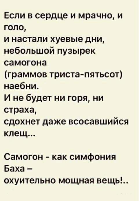 Если в сердце и мрачно и голо и настали хуевые дни небольшой пузырек самогона граммов триста пятьсот наебни И не будет ни горя ни страха сдохнет даже всосавшийся клещ Самогон как симфония Баха охуительно мощная вещь