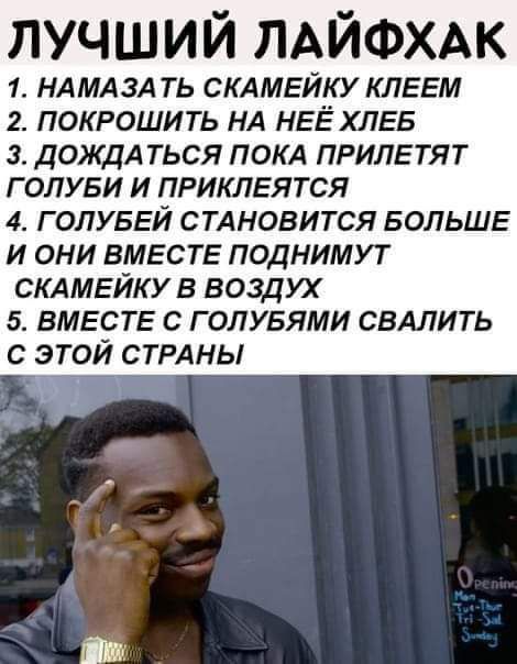 лучший ЛАЙФХАК 1 НАМАЗА ТЬ СКАМЕЙКУ КЛЕЕМ 2 ПОКРОШИТЬ НА НЕЁ ХЛЕБ 3 ДОЖДА ТЬСЯ ПОКА ПРИЛЕТЯ Т Г ОЛУБИ И ПРИКЛЕЯТСЯ 4 Г ОПУБЕЙ СТАНОВИТСЯ БОЛЬШЕ И ОНИ ВМЕСТЕ ПОДНИМУТ СКАМЕЙКУВ ВОЗДУХ 5 ВМЕСТЕ С ГОЛУБЯМИ СВАЛИТЬ С ЭТОЙ СТРАНЫ