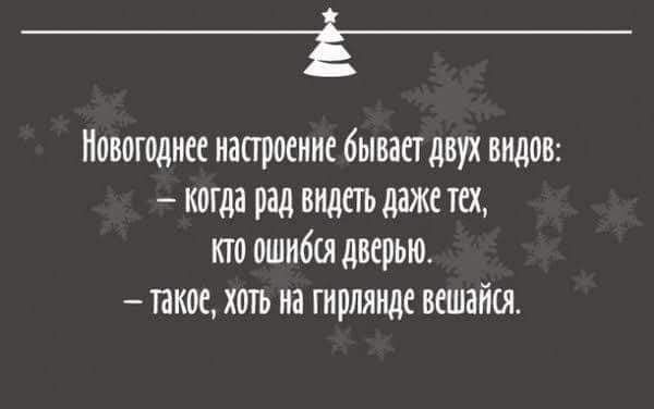 Новогоднее настроение бывает двух видов когда под въедет нажетех кто ошибся дверью такое хоть на гирлянще вешайея