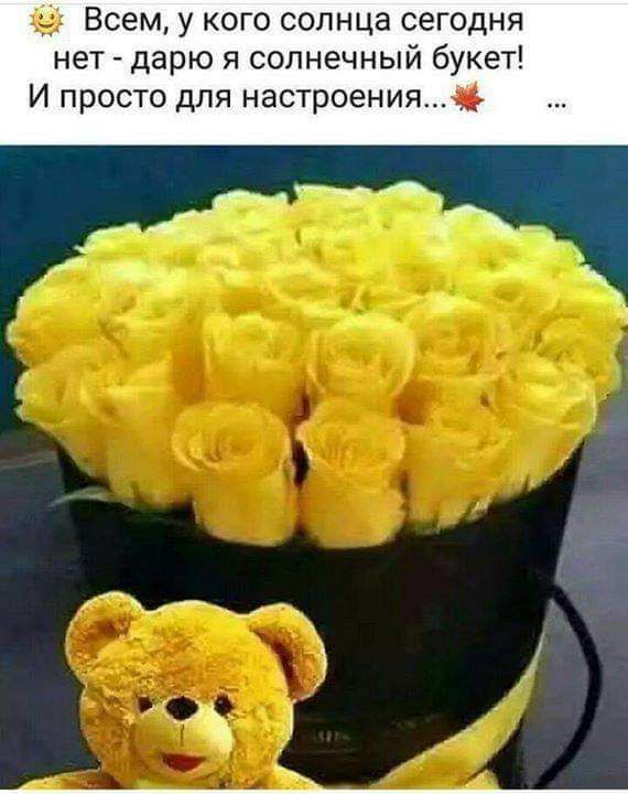 Всем у кого солнца сегодня нет дарю я солнечный букет И просто для настроенияф