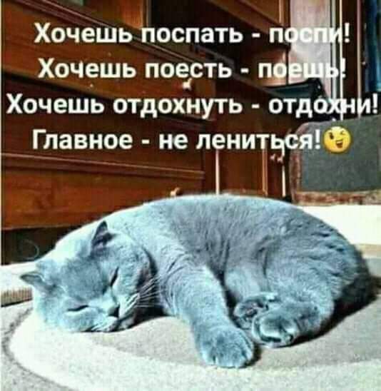 ХочешЁпоспать п Хоч9шь поесть ці Хочешь отдохнуть отд _ _ равное не лениЪ О