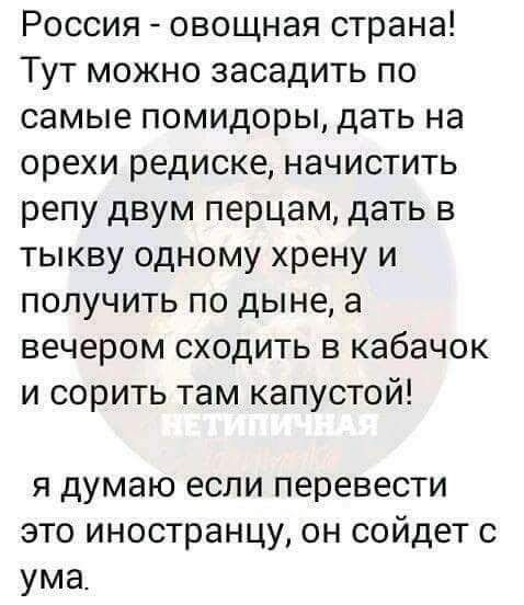 Россия овощная страна Тут можно засадить по самые помидоры дать на орехи редиске начистить репу двум перцам дать в тыкву одному хрену и получить по дыне а вечером сходить в кабачок и сорить там капустой я думаю если перевести это иностранцу он сойдет с ума