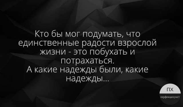 Кто бы мог подумать что единственные радости взрослой жизни это побухать и потрахаться А какие надежды были какие надежды