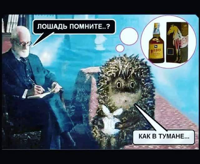 кпк н ТУМАНЕ