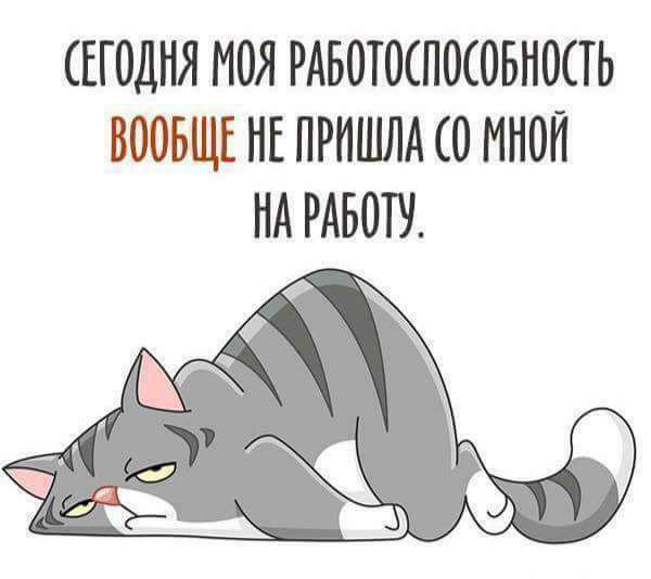 ЕГОДНЯ МОЯ РАБОТОСПОСОБНОСТЬ ВООБЩЕ НЕ ПРИШЛА 0 МНОЙ НА РАБОТУ