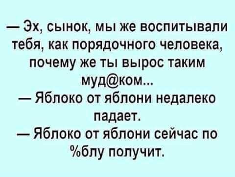 Эх сынок мы же воспитывали тебя как порядочного человека почему же ты вырос таким мудком Яблоко от яблони недалеко падает Яблоко от яблони сейчас по блу получит