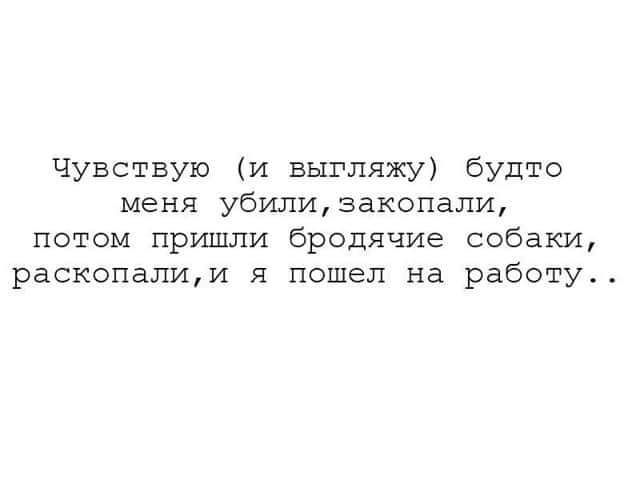 Чувствую и выгляжу будто меня убилизакопали потом пришли бродячие собаки раскопал мда пошел на работу