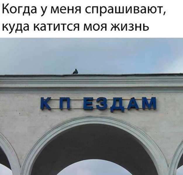 Когда у меня спрашивают куда катится моя жизнь