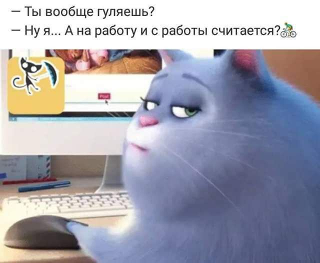 Ты вообще гуляешь Ну я А на работу и с работы считаетсяё 15 _