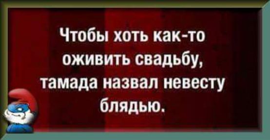 Чтобы хоть как то оживить свадьбу тамада назвал невесту блядью