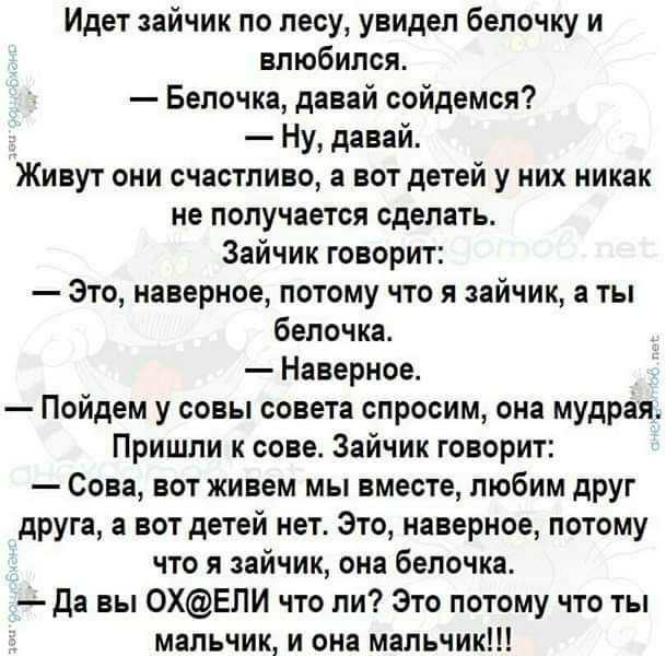 Идет зайчик по лесу увидел бепочку и влюбился Белочка давай сойдемся Ну давай Живут они счастливо вот детей у них никак не получается сделать Зайчик говорит Это наверное потому что я зайчик а ты белочка Наверное Пойдем у совы совета спросим она мудрая Пришли к сове Зайчик говорит Сова вот живем мы вместе любим друг друга вот детей нет Это наверное потому что я зайчик она белочка да вы 0ХЕПИ что ли