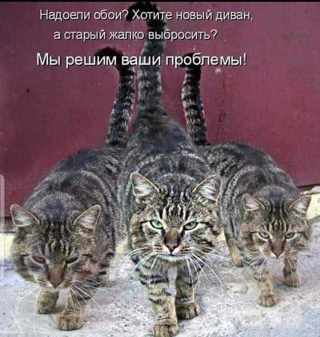 Надоели обои Хотите новый диван в старый жалко выбросить Мы решим Ьадци пробпе_мы гь