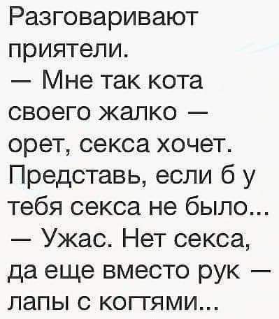 Разговаривают приятели Мне так кота своего жалко орет секса хочет Представь если б у тебя секса не было Ужас Нет секса да еще вместо рук лапы с коггями