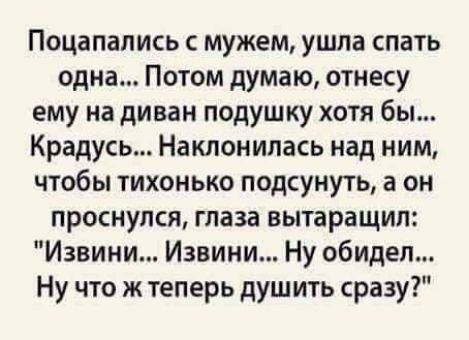Поцапапись мужем ушла спать одна Потом думаю отнесу ему на диван подушку хотя бы Крадусь Наклонипась над ним чтобы тихонько подсунуть а он проснулся глаза вытаращип Извини Извини Ну обидел Ну что ж теперь душ ить сразу