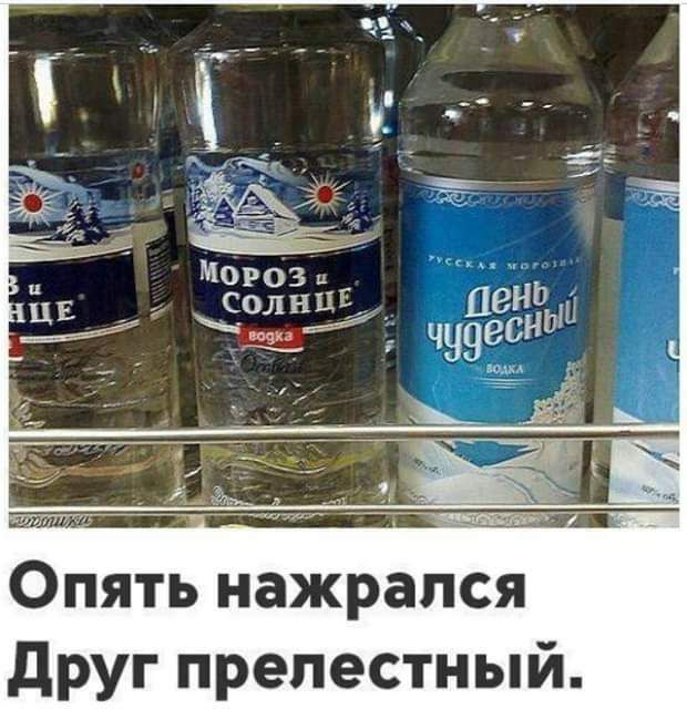 Опять нажрался друг прелестный