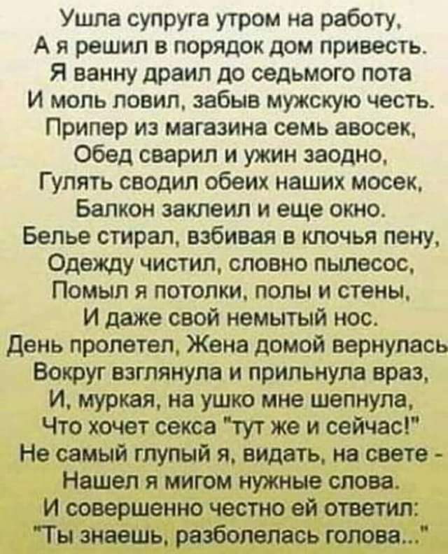 Ушла супруга утром на работу А я решил в порядок дом приеесть Я ванну драил до седьмого пота И моль ловил забыв мужскую честь Припер из магазина семь авосек Обед сварил и ужин заодно Гулять сводил обеих наших мосек Балкон заклеил и еще окно Белье стирал набивая клочья пену Одежду чистил словно пылесос Помып я потолки полы и стены И даже свой немытый нос день пролетел Жена домой вернулась Вокруг вз