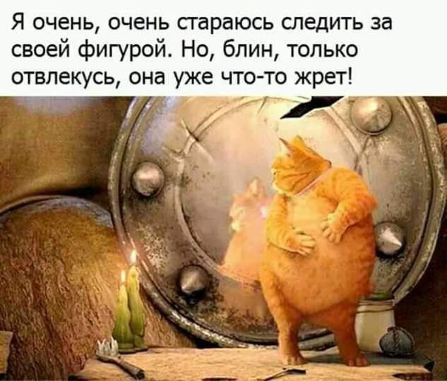 Я очень очень стараюсь спедить за своей фигурой Но блин только отвлекусь она уже что то жрет _