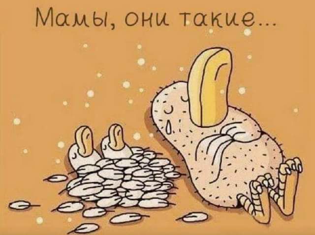 Мамы они такие