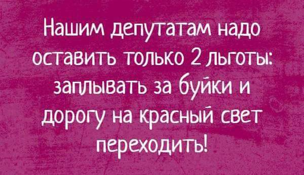 Нашим депутатам надо оставить только 2 льготы заплывать за буйки и дорогу на красный свет переходить