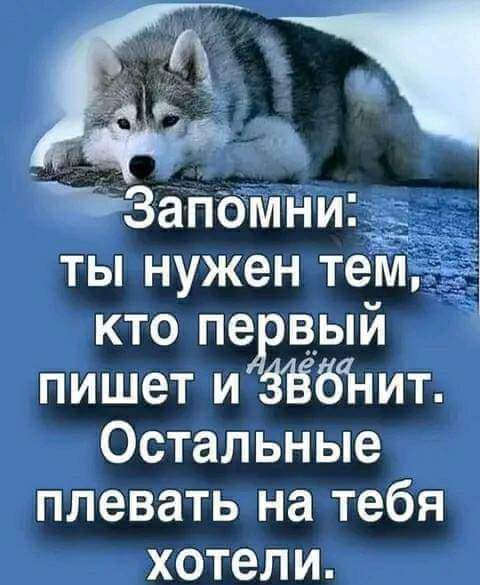 ты нужен тем кто пе вый пишет и ЗЁбі іит Остальные плевать на тебя хотели