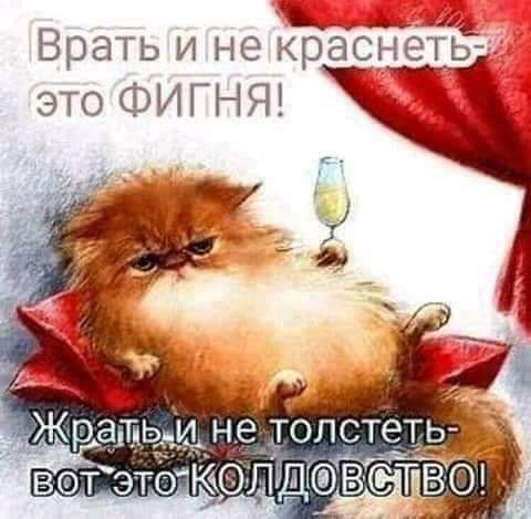 Врать и не краснеть это ФИГНЯ