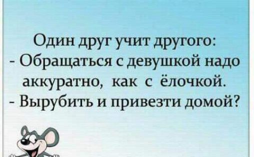 Один друг учит другого Обращаться с девушкой надо аккуратно как ёлочкой Вырубить и привезти домой