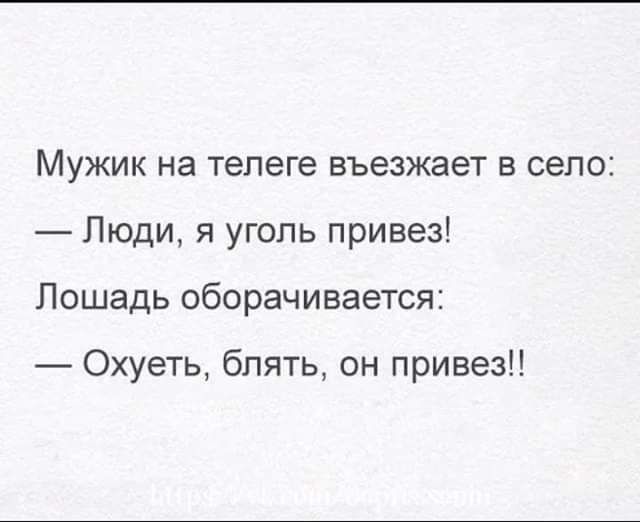 Мужик на телеге въезжает в село Люди я уголь привез Лошадь оборачивается Охуеть блять он привез