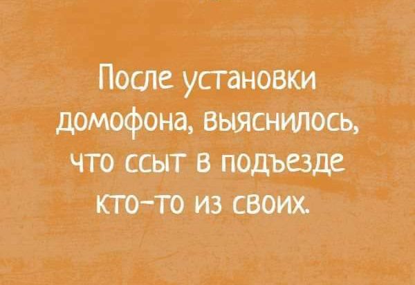 После установки домофона выяснилось что ссыт в подъезд кто то из своих