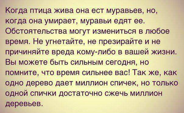 Когда птица жива она ест муравьев но когда она умирает муравьи едят ее Обстоятельства могут измениться в любое время Не угнетайте не презирайте и не причиннйте вреда кому либо в вашей жизни Вы можете быть сильным сегодня но помните что время сильнее вас Так же как одно дерево дает миппион спичек но только одной спички достаточно сжечь миллион деревьев