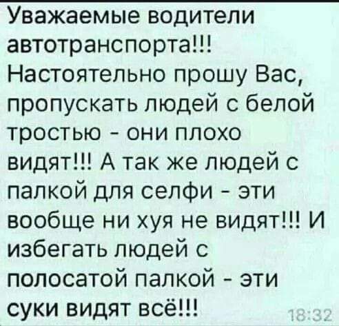 Уважаемые водители автотранспорта Настоятельно прошу Вас пропускать людей с белой тростью они плохо видят А так же людей с папкой для селфи эти вообще ни хуя не видят И избегать людей с полосатой палкой эти суки видят всё