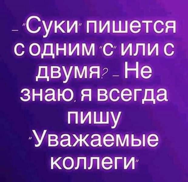 _ Суки пишетеас с одним изучите двумя _ Не знаю я всегда пишу Уважаемые коллеги