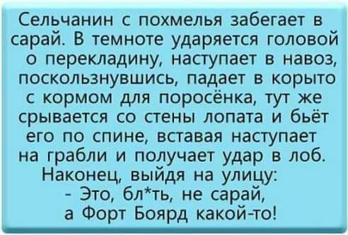 Сельчанин похмелья забегает в сарай В темноте ударяется головой о перекладину наступает в навоз поскользнувшись падает в корыто с кормом для поросёнка тут же срывается со стены лопата и бьёт его по спине вставая наступает на грабли и получает удар в лоб Наконец выйдя на улицу Это блть не сарай а Форт Боярд какой то