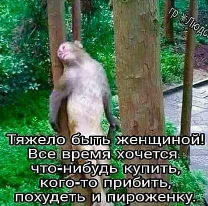 _КОПФ ТО похудеть Ип