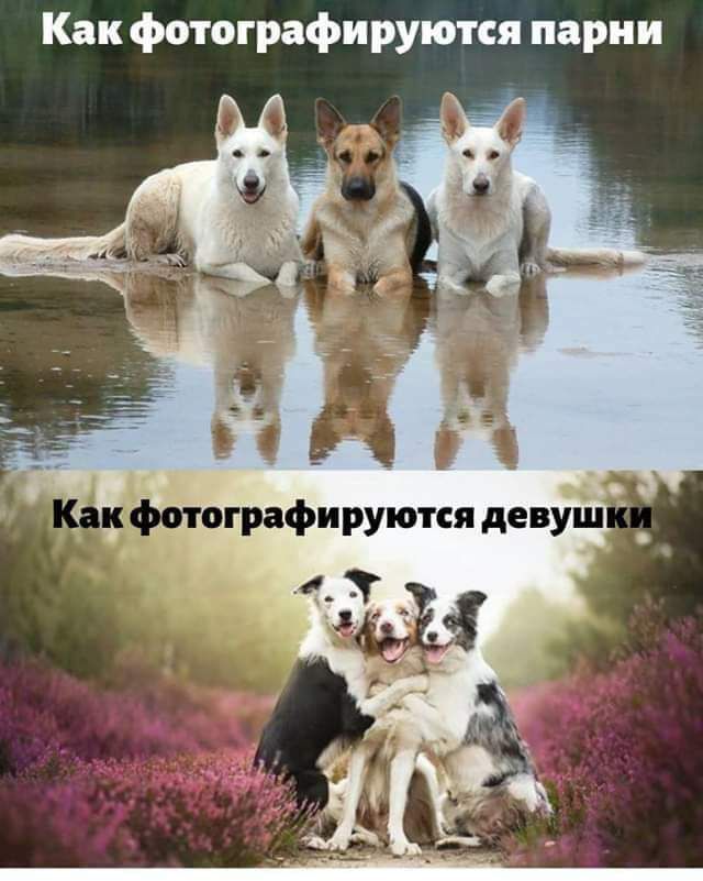 Как фотографируются парии