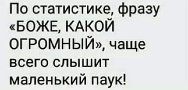 По статистике фразу БОЖЕ КАКОЙ ОГРОМНЫЙ чаще всего слышит маленький паук