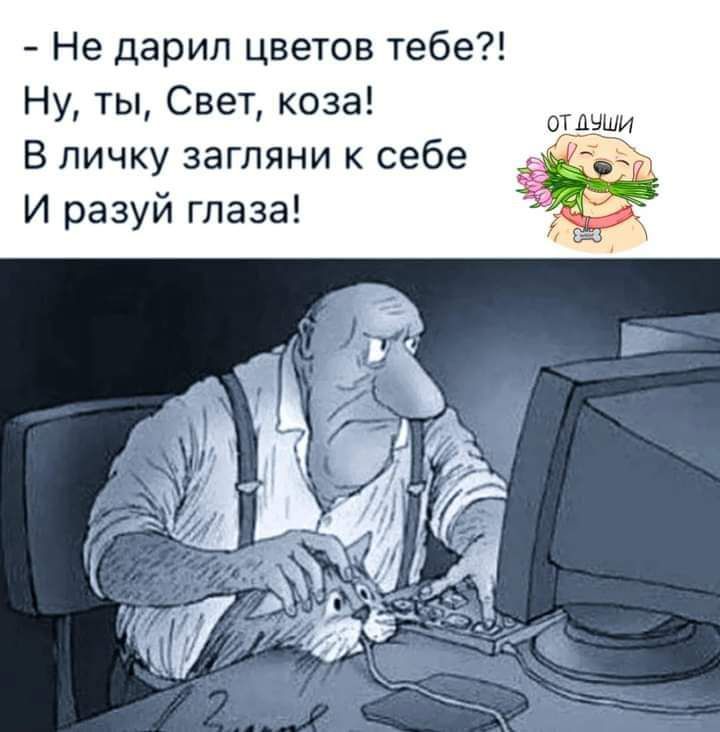 Не дарил цветов тебе Ну ты Свет коза В личку загляни к себе И разуй глаза