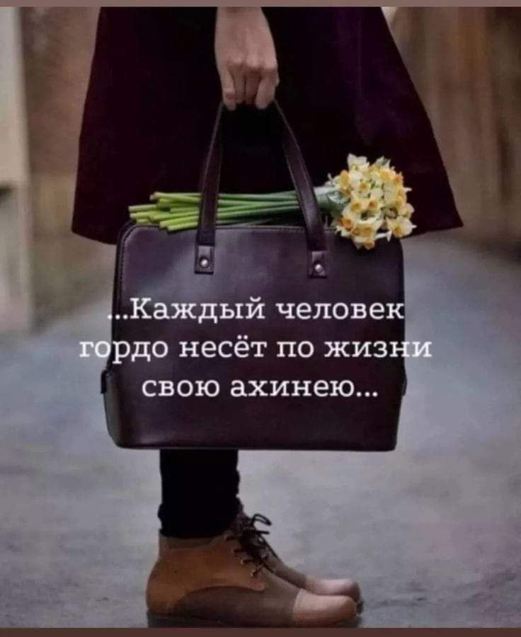 до несёт по жиз свою ахинею